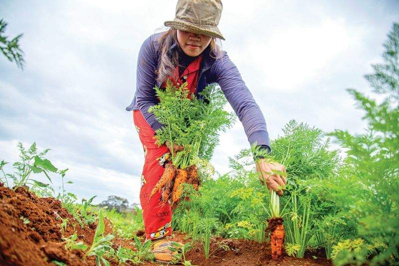 花壇・植栽の設計施工